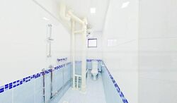 Blk 336 Jurong East Avenue 1 (Jurong East), HDB Executive #462980421
